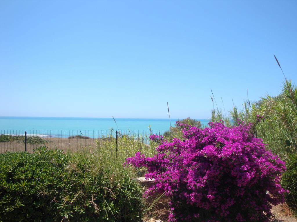 Cala Vigliena Il Sole Negli Occhi Vila Punta Braccetto Quarto foto