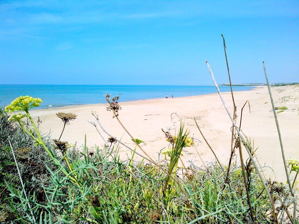 Cala Vigliena Il Sole Negli Occhi Vila Punta Braccetto Exterior foto